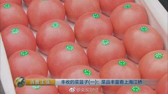 賣西紅柿買3套房,只要努力創(chuàng)業(yè)不分行業(yè)
