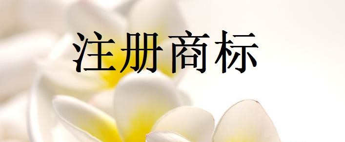 如何提高商標駁回復審率
