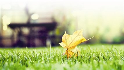 在高壓的工作下如何保持良好的心態(tài)