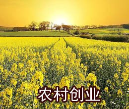 適合農(nóng)民的創(chuàng)業(yè)項(xiàng)目有哪些